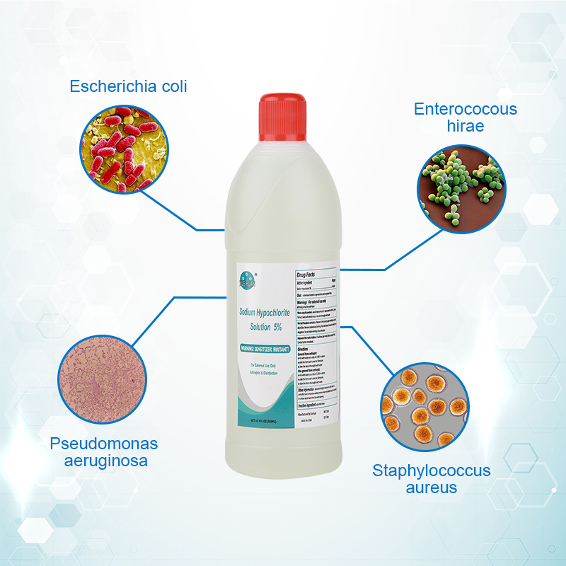 Exploring the Power of Sanitizers for Surface Disinfection